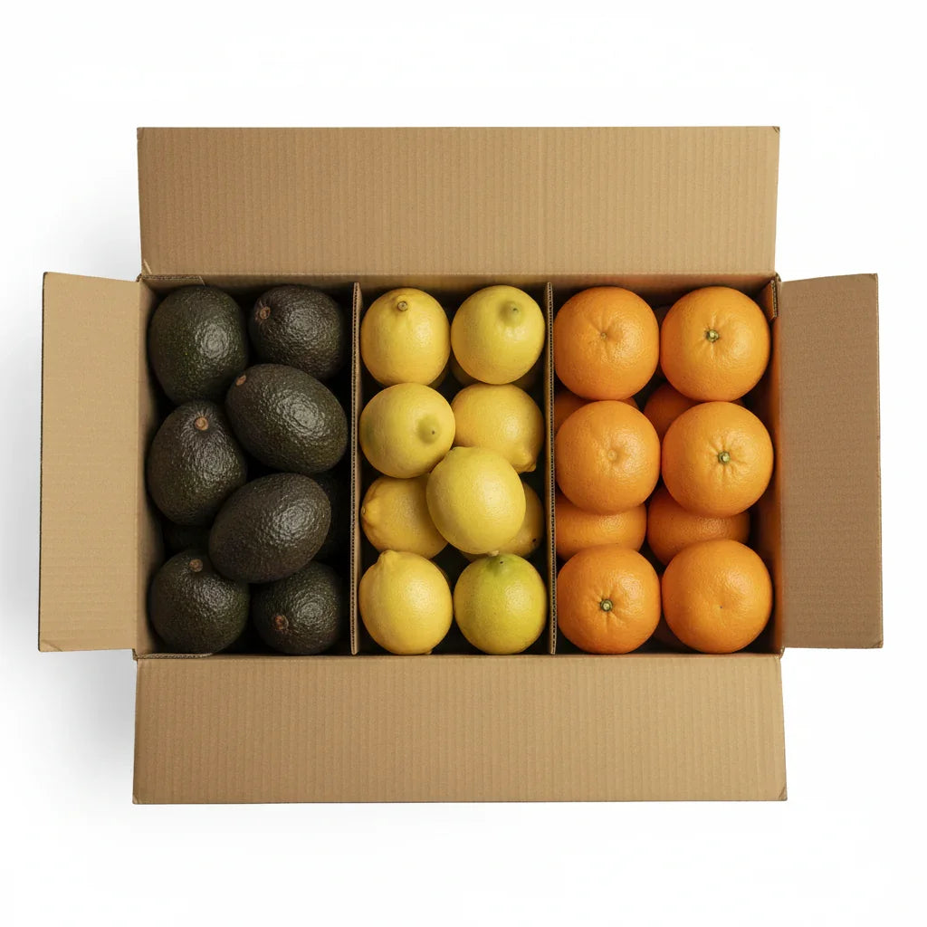 Frische Avocados, Zitronen und Orangen aus Andalusien in einem Versandkarton, direkt vom Feld